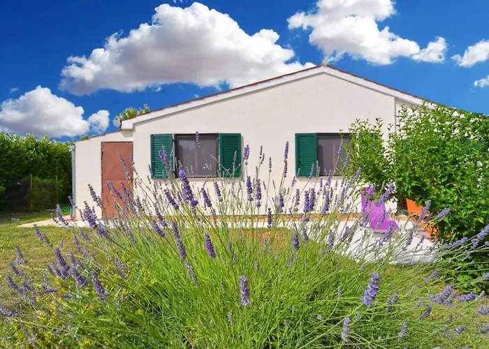 Holiday home Adriatic Liznjan